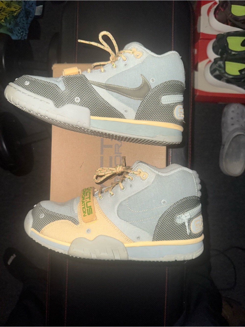 Travis Scott Cactus Jack Nike sneakers